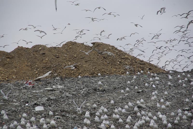012409 Waco Landfill 019.jpg